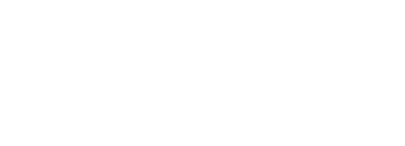 H2O & Backflow Tests LLC